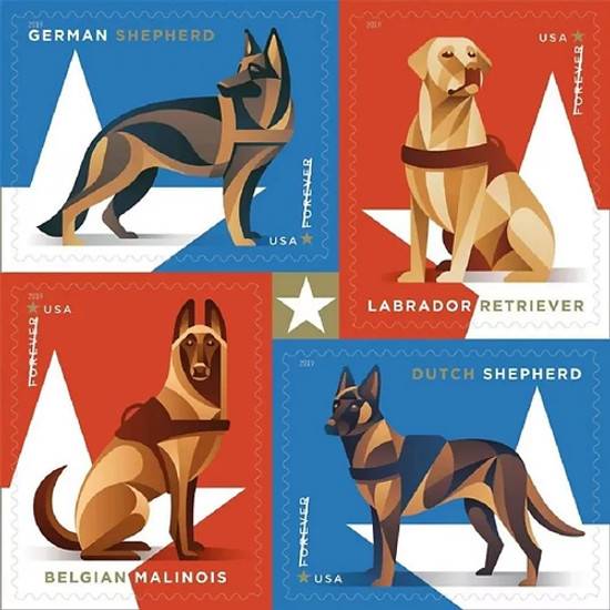 Forever Stamps 2019 Labrador Retriever-Honor & Service, First-Class Postage