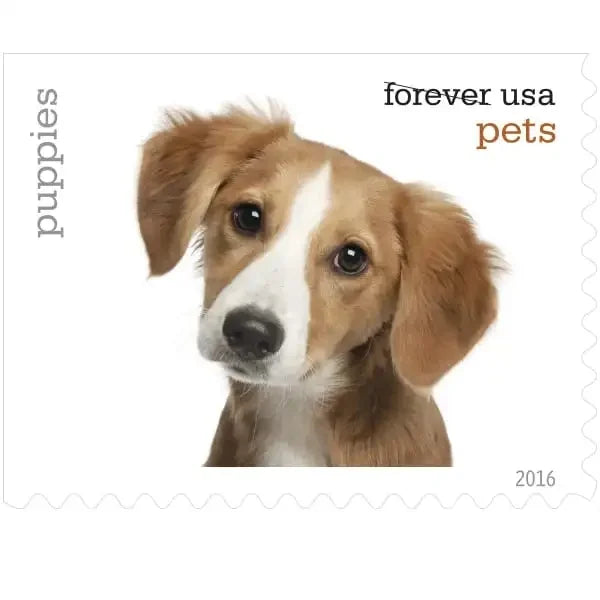 Forever Stamps 2016 Pets-Animal Companions (Puppies), First-Class Postage