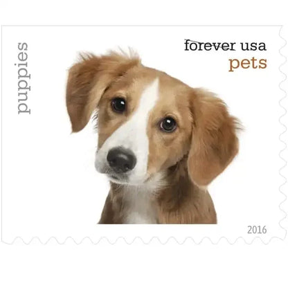 Forever Stamps 2016 Pets-Animal Companions (Puppies), First-Class Postage