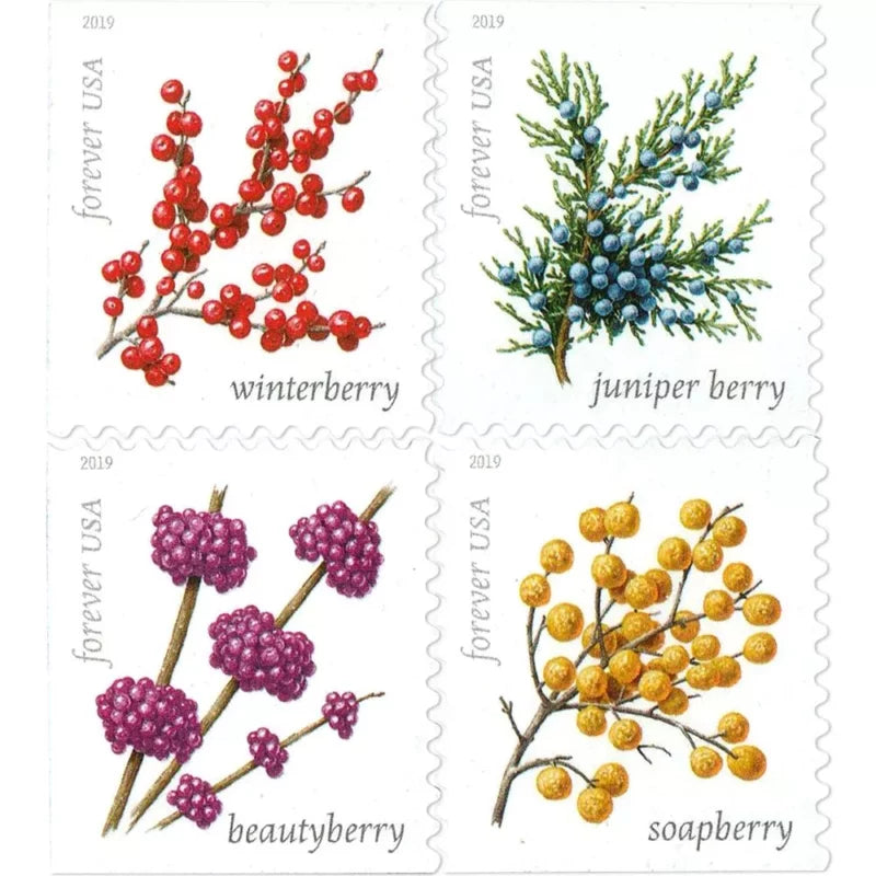 Forever Stamps 2019 Winter Berries-Seasonal Holiday Collection, First-Class Postage