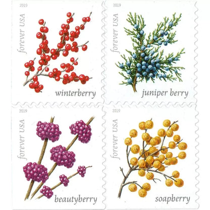 Forever Stamps 2019 Winter Berries-Seasonal Holiday Collection, First-Class Postage