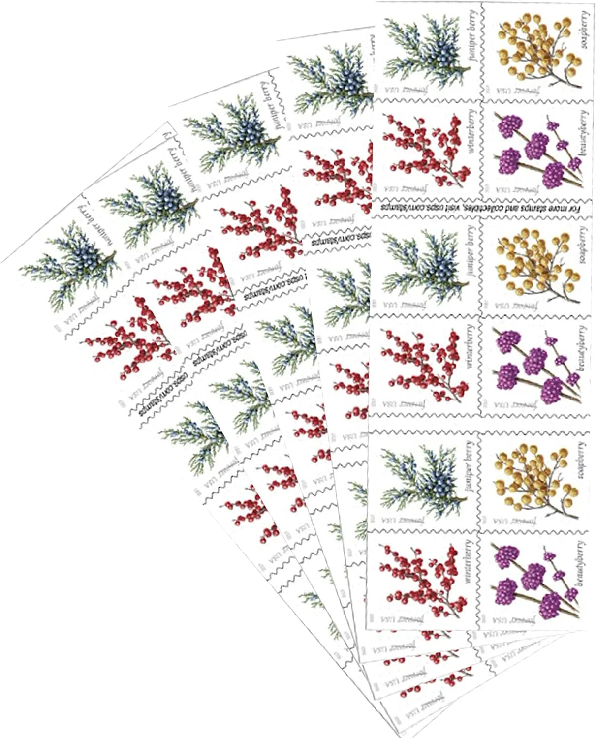 Forever Stamps 2019 Winter Berries-Seasonal Holiday Collection, First-Class Postage