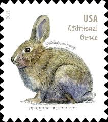 Additional Ounce Stamps 2021 Brush Rabbit-Nature Series, Postage