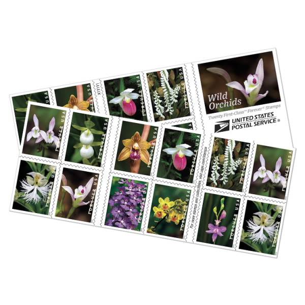 Forever Stamps 2020 Wild Orchids-Nature Series, First-Class Postage