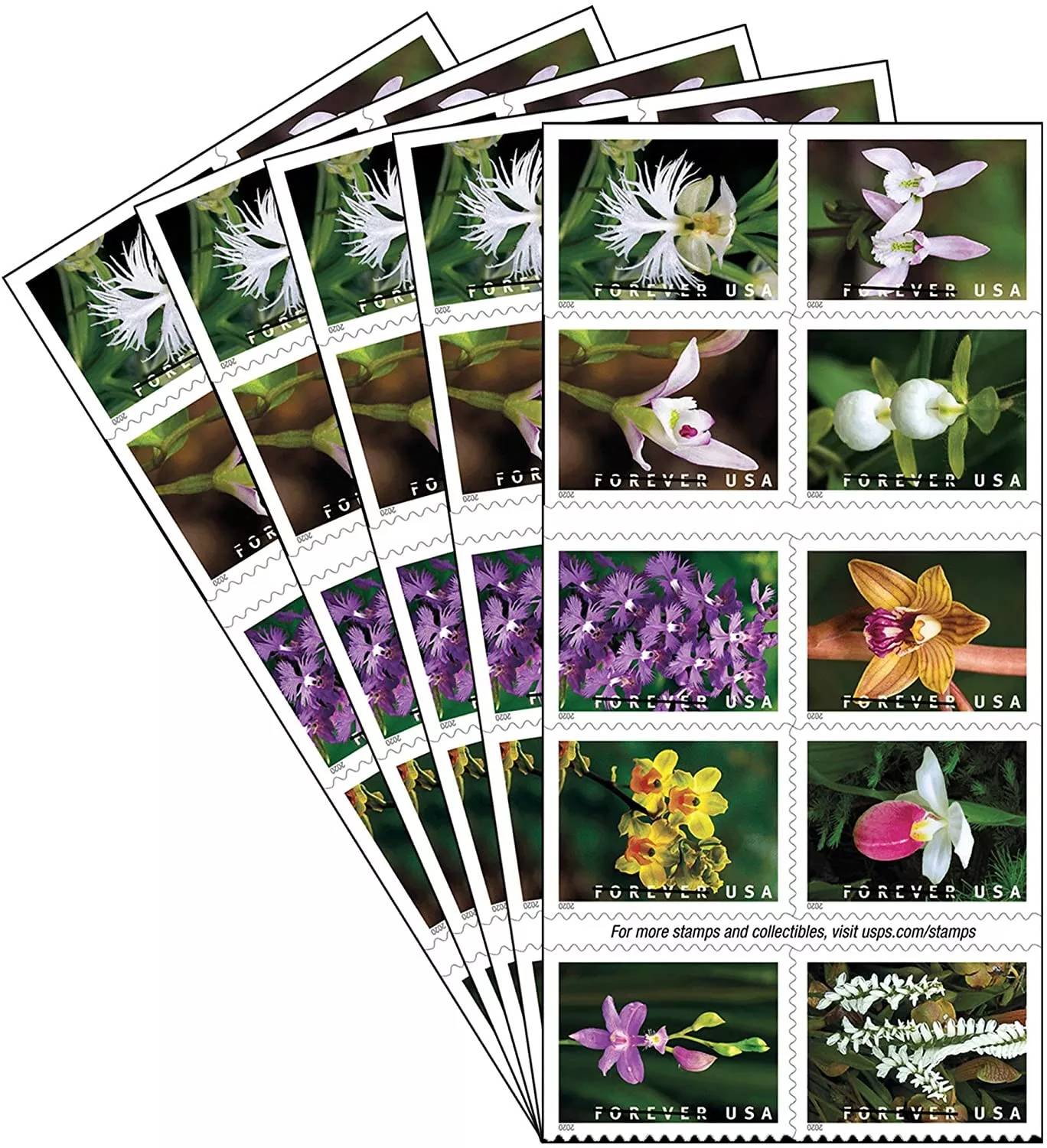 Forever Stamps 2020 Wild Orchids-Nature Series, First-Class Postage