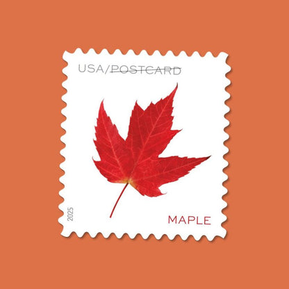 Postcard Rate Stamps 2025 Autumn Leaves-Nature Series, First-Class Rate