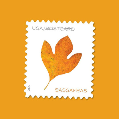 Postcard Rate Stamps 2025 Autumn Leaves-Nature Series, First-Class Rate