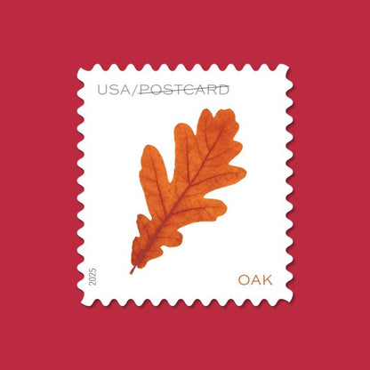 Postcard Rate Stamps 2025 Autumn Leaves-Nature Series, First-Class Rate