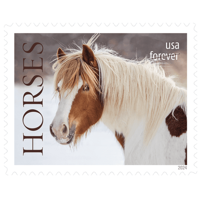 Forever Stamps 2024 Horses-Nature Series, First-Class Postage