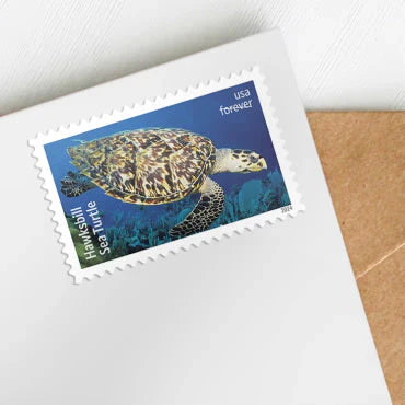 Forever Stamps 2024 Kemp¡¯s Ridley Sea Turtle-Nature Series, First-Class Postage