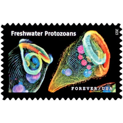 Forever Stamps 2023 Life Magnified-Freshwater Protozoans, First-Class Postage
